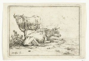 Twee koeien