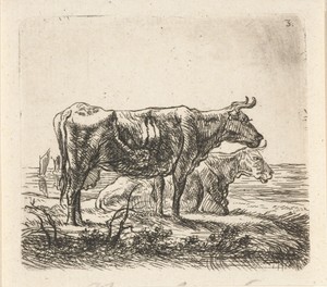 Twee koeien bij een plas met bootjes