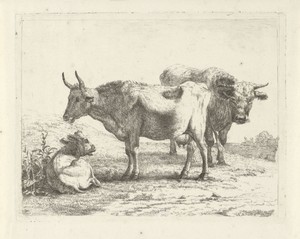 Twee koeien en een kalf