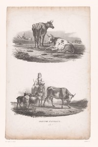 Twee koeien en herderin op een ezel met vee