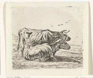 Twee koeien