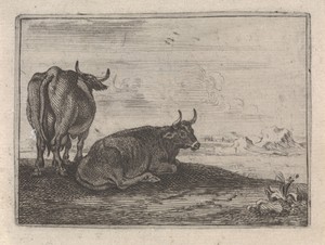 Twee koeien in een landschap