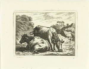 Twee koeien langs weg bij boerderij