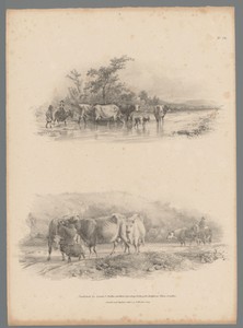 Twee landschappen met een kudde vee