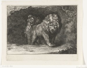 Twee leeuwen bij de ingang van hun hol