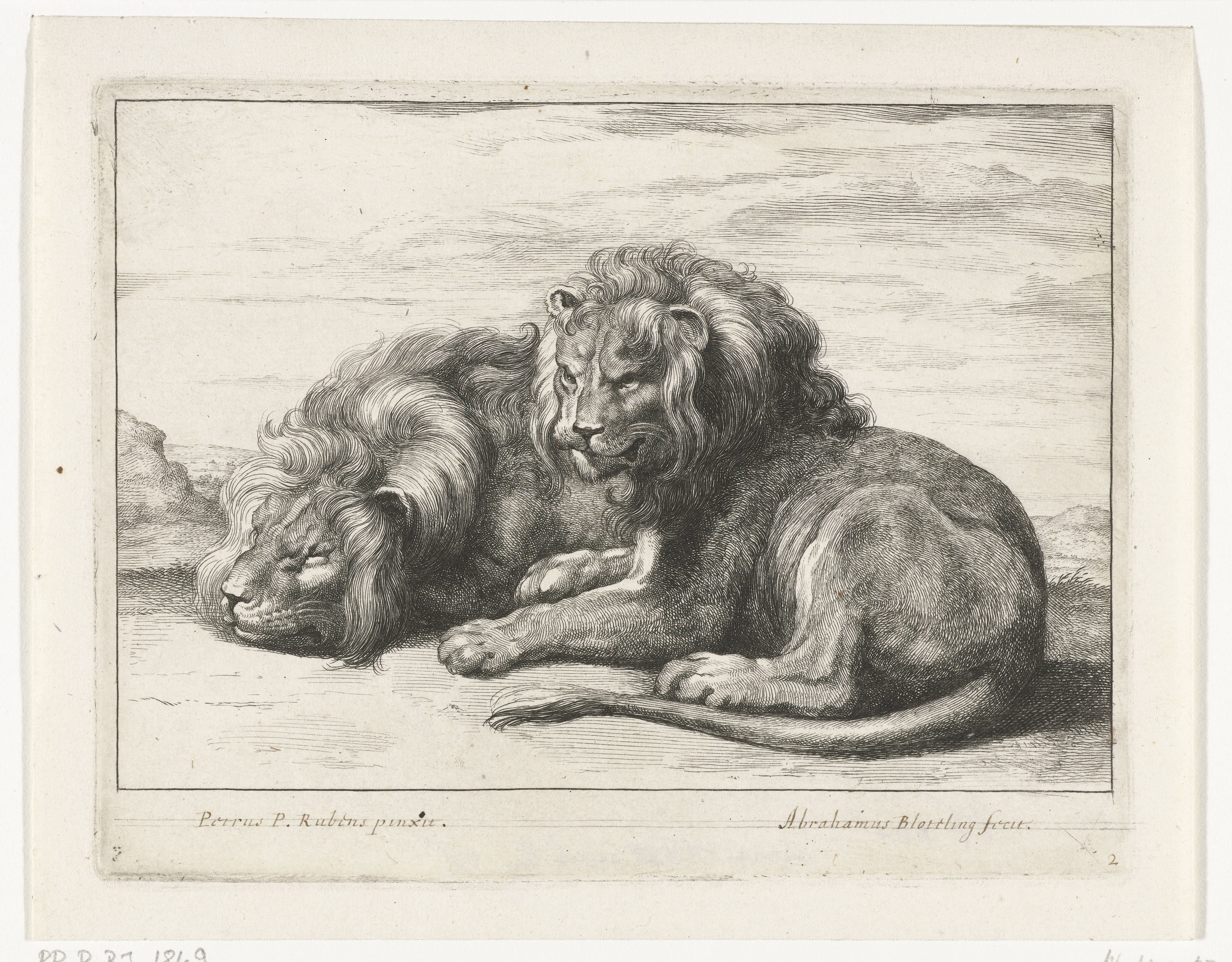 Twee liggende leeuwen by Abraham Bloteling