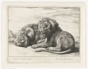 Twee liggende leeuwen