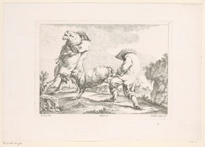 Twee mannen vangen twee schapen