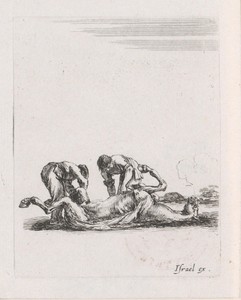 Twee mannen villen een paard
