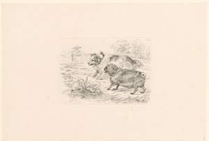 Twee mollige honden met strik en bel