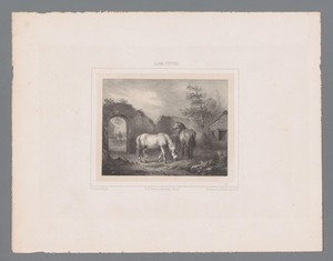 Twee paarden