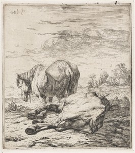 Twee paarden