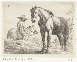 Twee paarden, één met ruiter