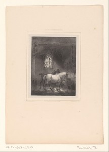 Twee paarden in een stal