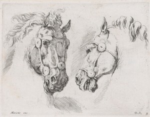 Twee paardenhoofden