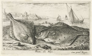 Twee platvissen op het strand