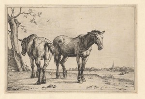 Twee ploegpaarden