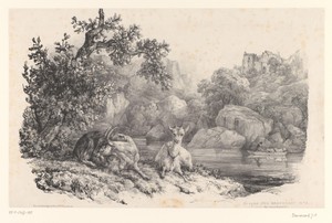 Twee rustende geiten in een landschap