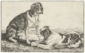 Twee rustende honden