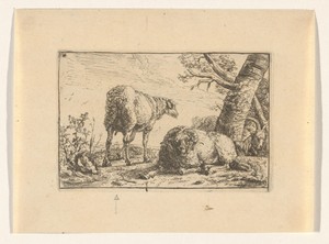 Twee schapen en een geit