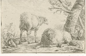 Twee schapen en een geit