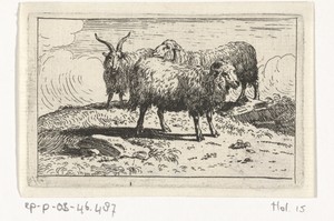 Twee schapen en een geit