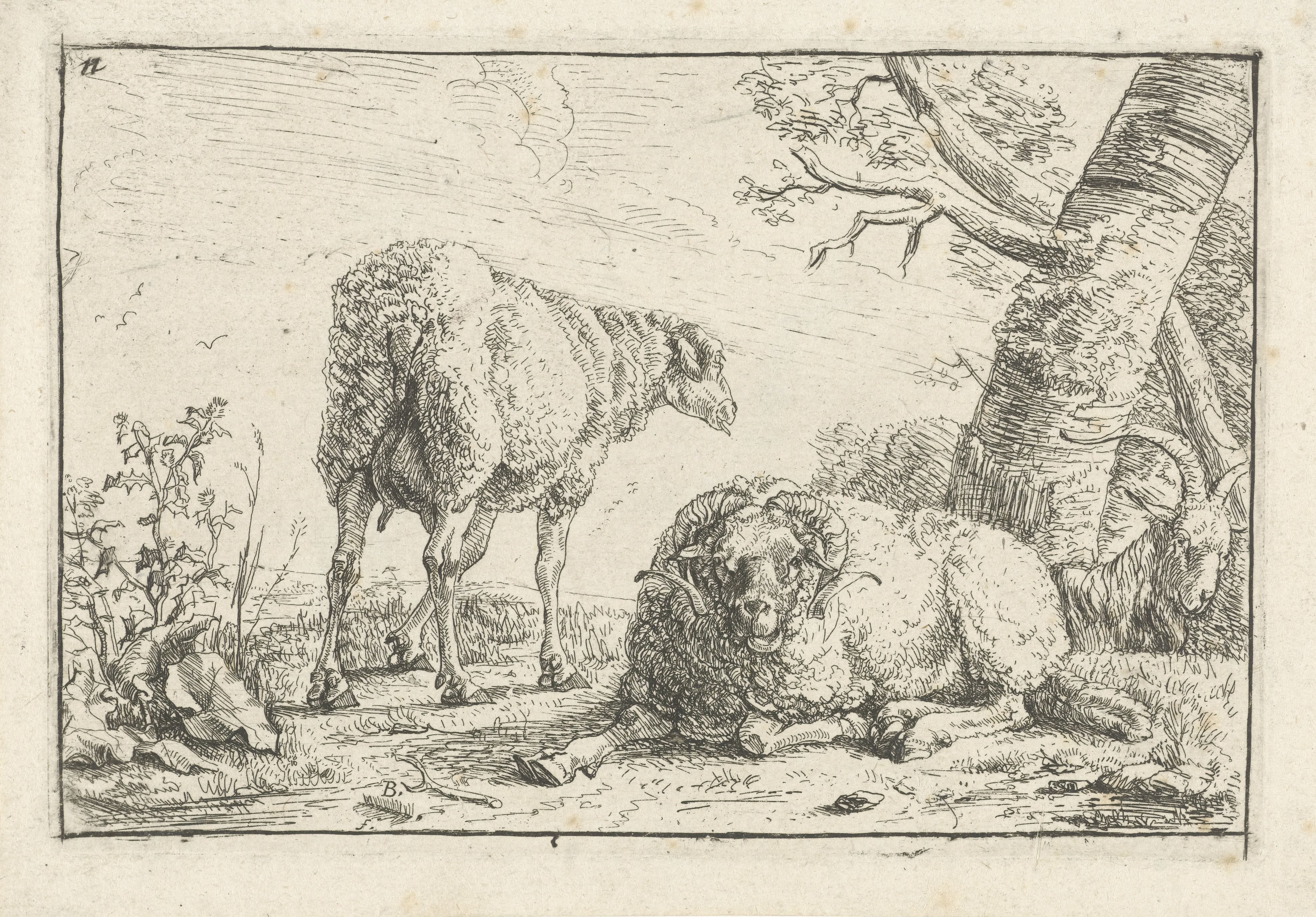 Twee schapen en een geit by Barend Graat