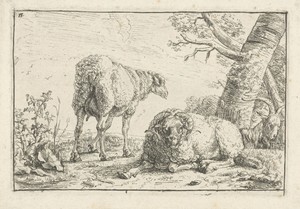 Twee schapen en een geit