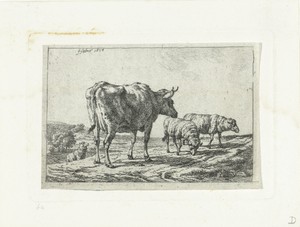 Twee schapen en een koe
