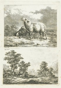 Twee schapen en een landschap