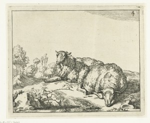 Twee schapen liggend bij bramentak
