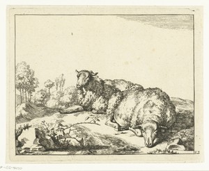 Twee schapen liggend bij bramentak