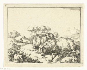 Twee schapen, liggend, met herder op achtergrond