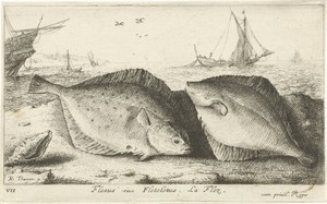 Twee schollen op het strand