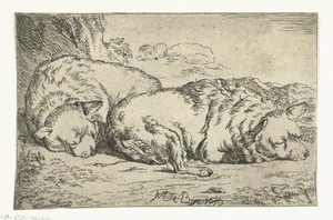 Twee slapende honden