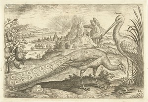 Twee vogels in een landschap