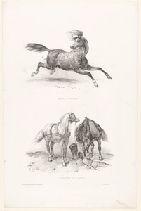 Twee voorstellingen met een Romeins paard en twee postpaarden
