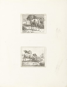Twee voorstellingen met schapen en geiten