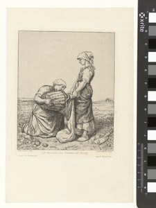 Twee vrouwen oogsten aardappelen op akker