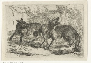 Twee wolven