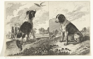 Twee zittende honden