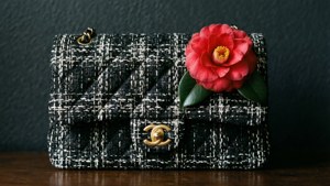 Tweed and Camellia