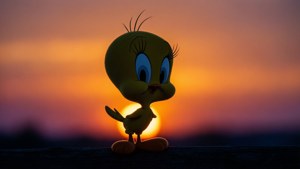 Tweety Sunset Silhouette