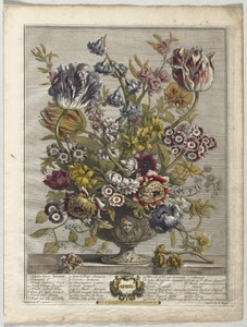 Twelve Months of Flowers:  April