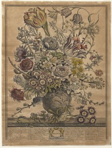 Twelve Months of Flowers:  March