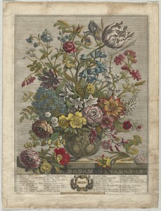 Twelve Months of Flowers:  May