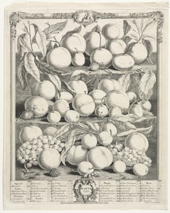 Twelve Months of Fruit:  August