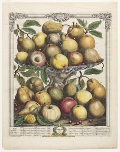 Twelve Months of Fruit:  February