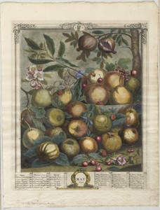 Twelve Months of Fruit:  May