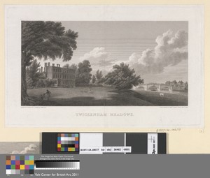 Twickenham Meadows